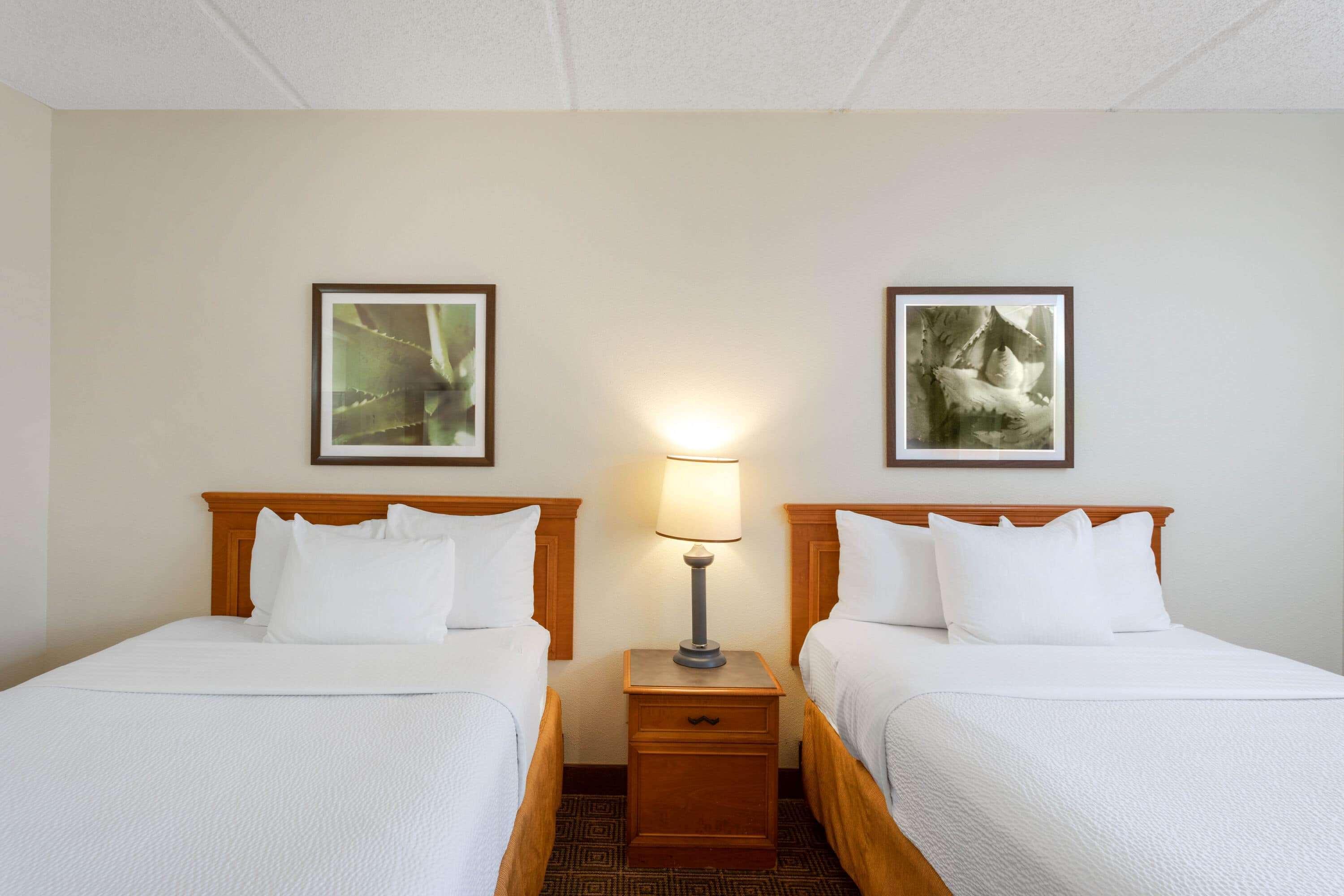 La Quinta Inn & Suites By Wyndham Jacksonville Mandarin Экстерьер фото
