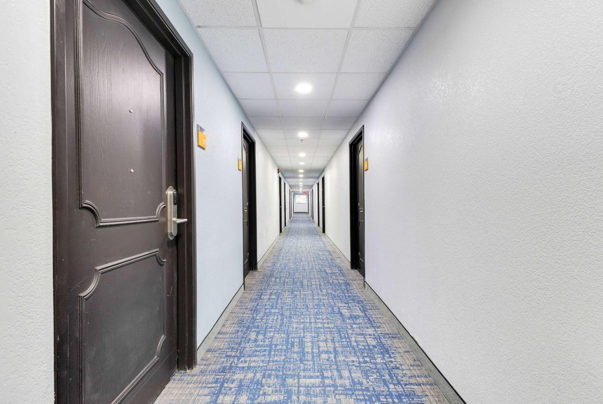 La Quinta Inn & Suites By Wyndham Jacksonville Mandarin Экстерьер фото